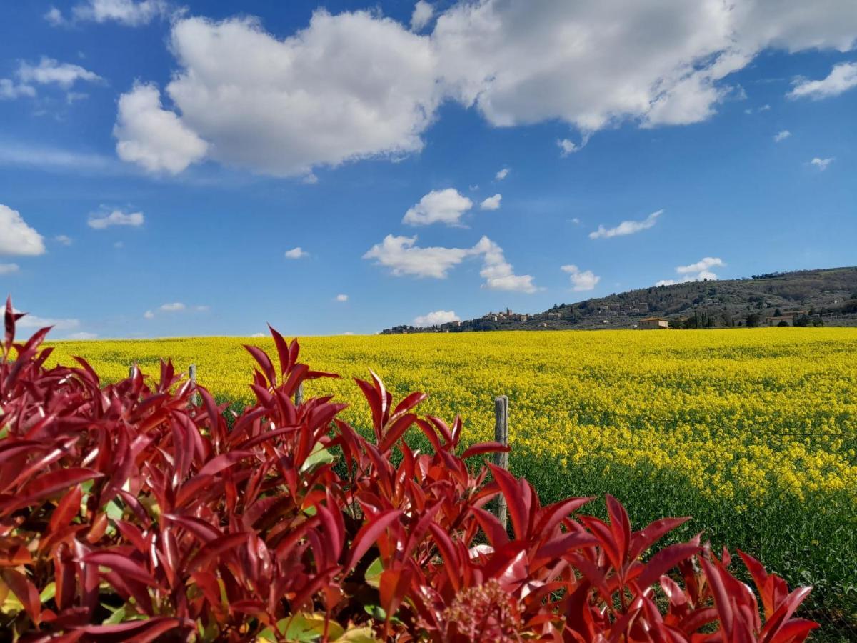Podere Molinaccio Panicale Zewnętrze zdjęcie
