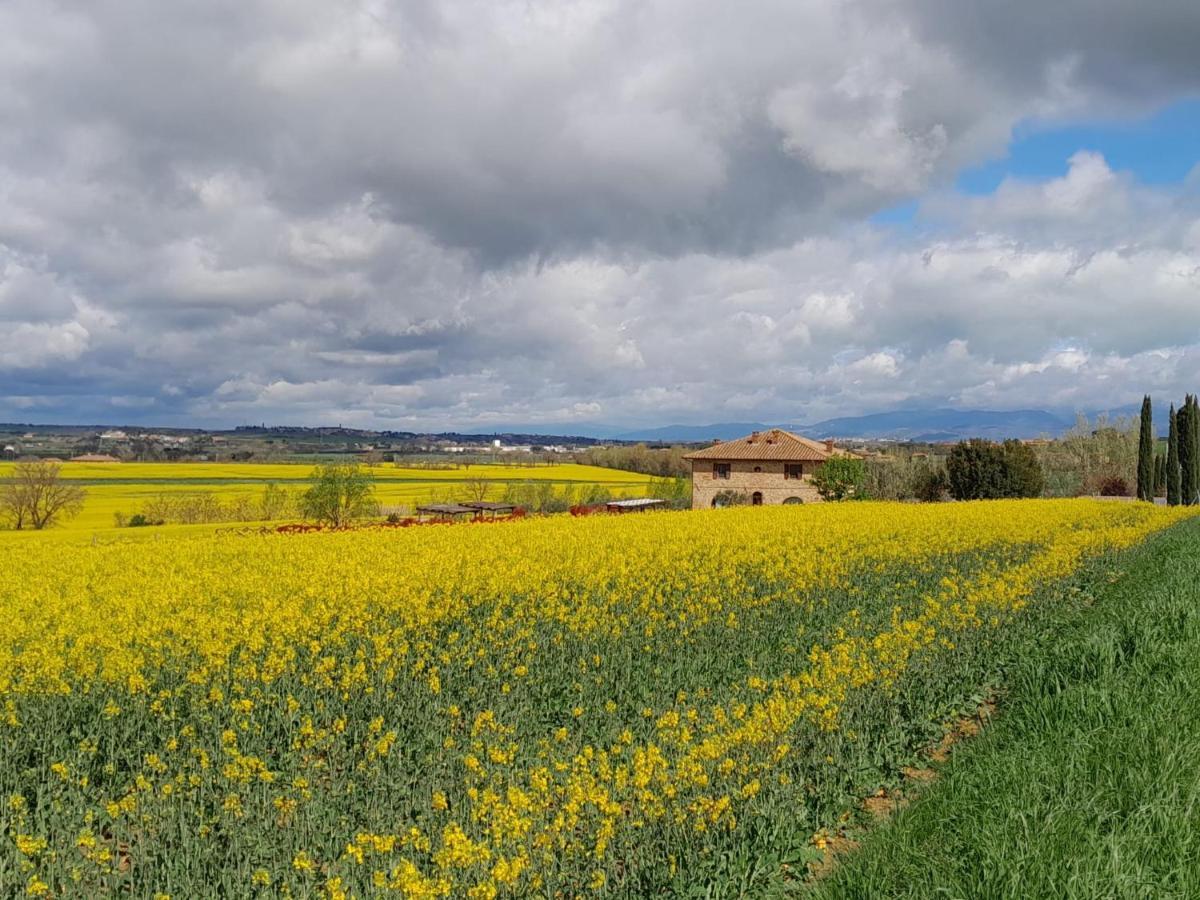 Podere Molinaccio Panicale Zewnętrze zdjęcie
