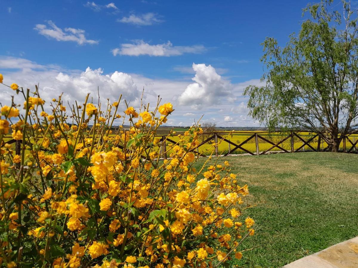 Podere Molinaccio Panicale Zewnętrze zdjęcie