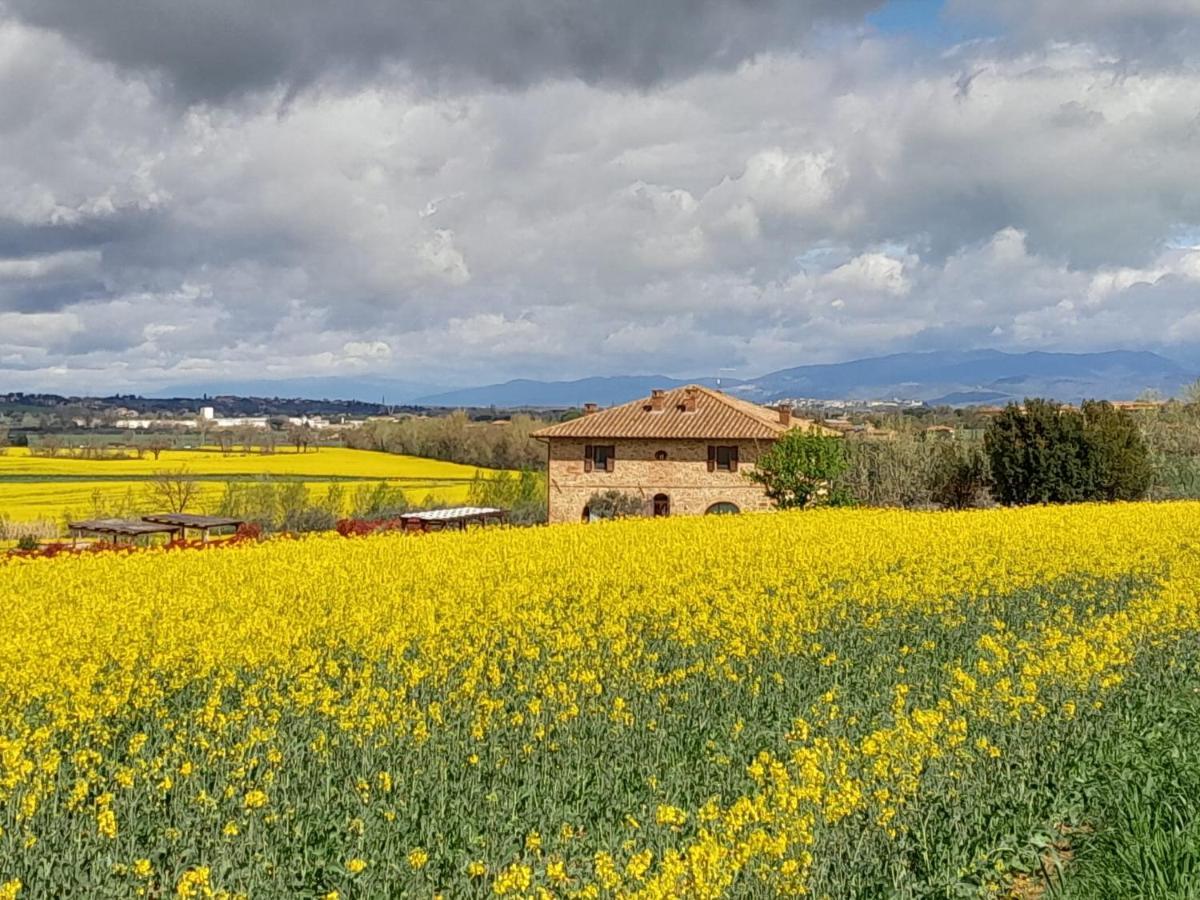 Podere Molinaccio Panicale Zewnętrze zdjęcie