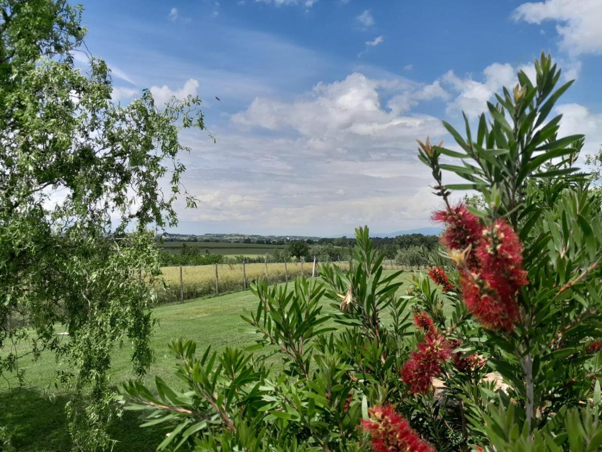 Podere Molinaccio Panicale Zewnętrze zdjęcie