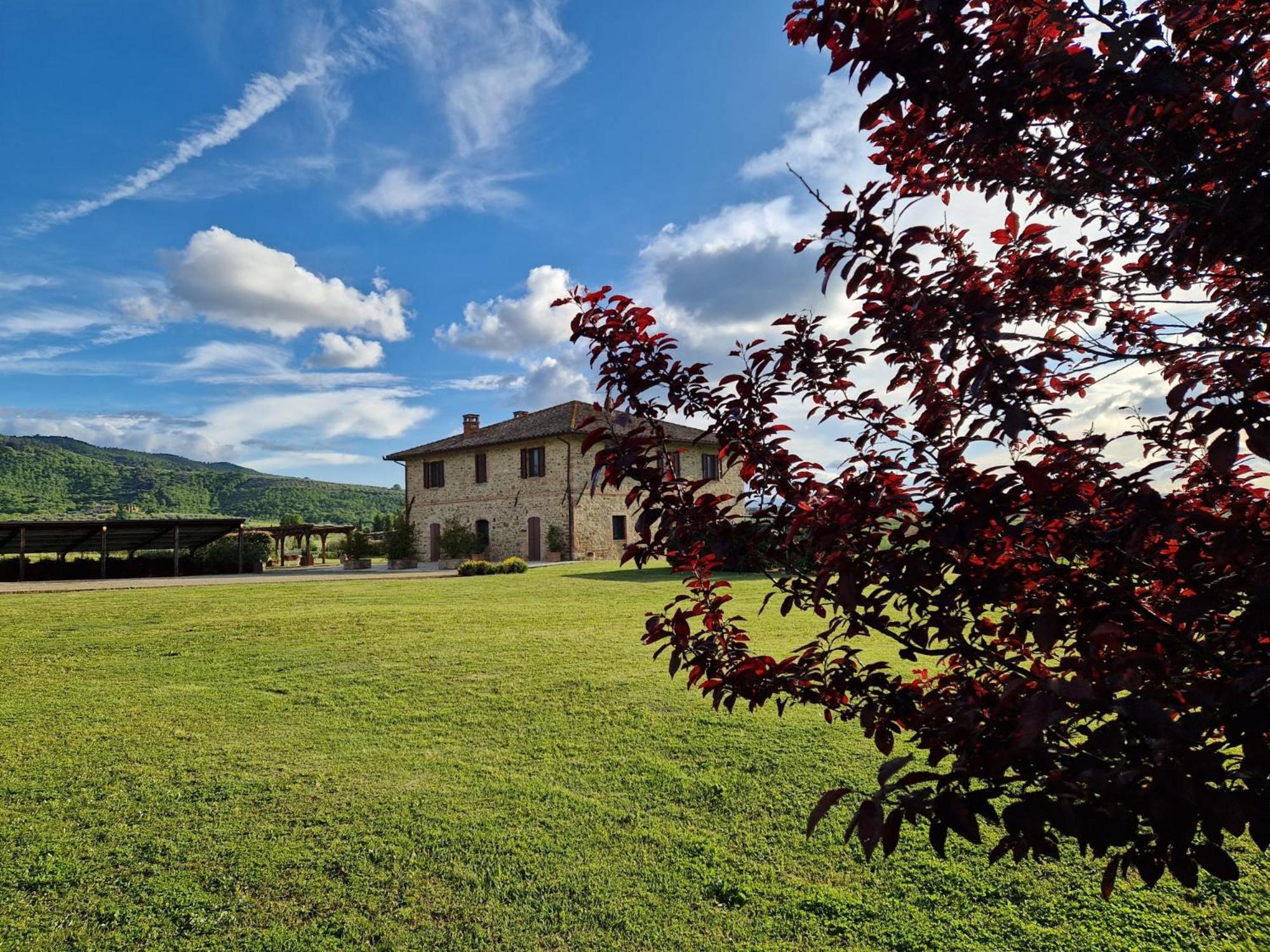 Podere Molinaccio Panicale Zewnętrze zdjęcie