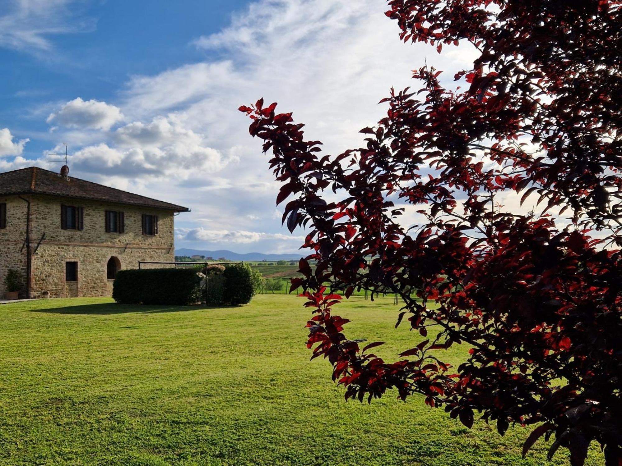 Podere Molinaccio Panicale Zewnętrze zdjęcie