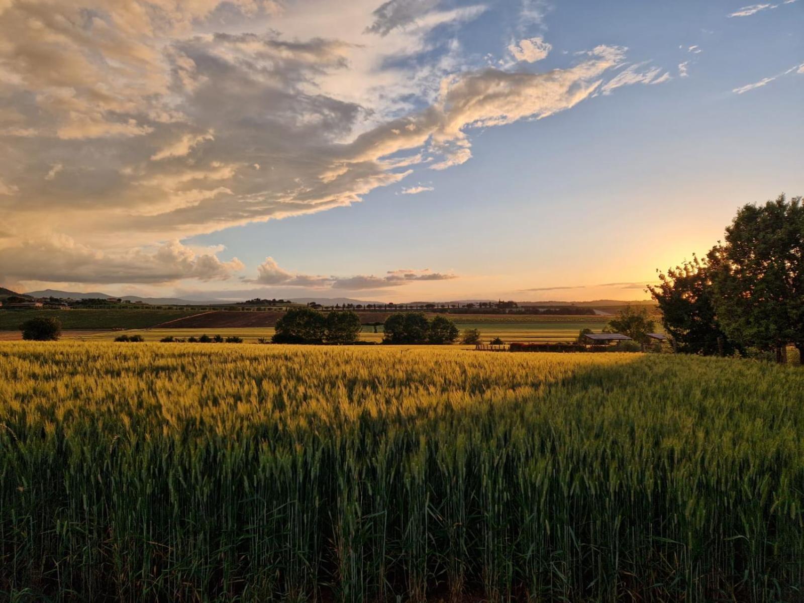 Podere Molinaccio Panicale Pokój zdjęcie