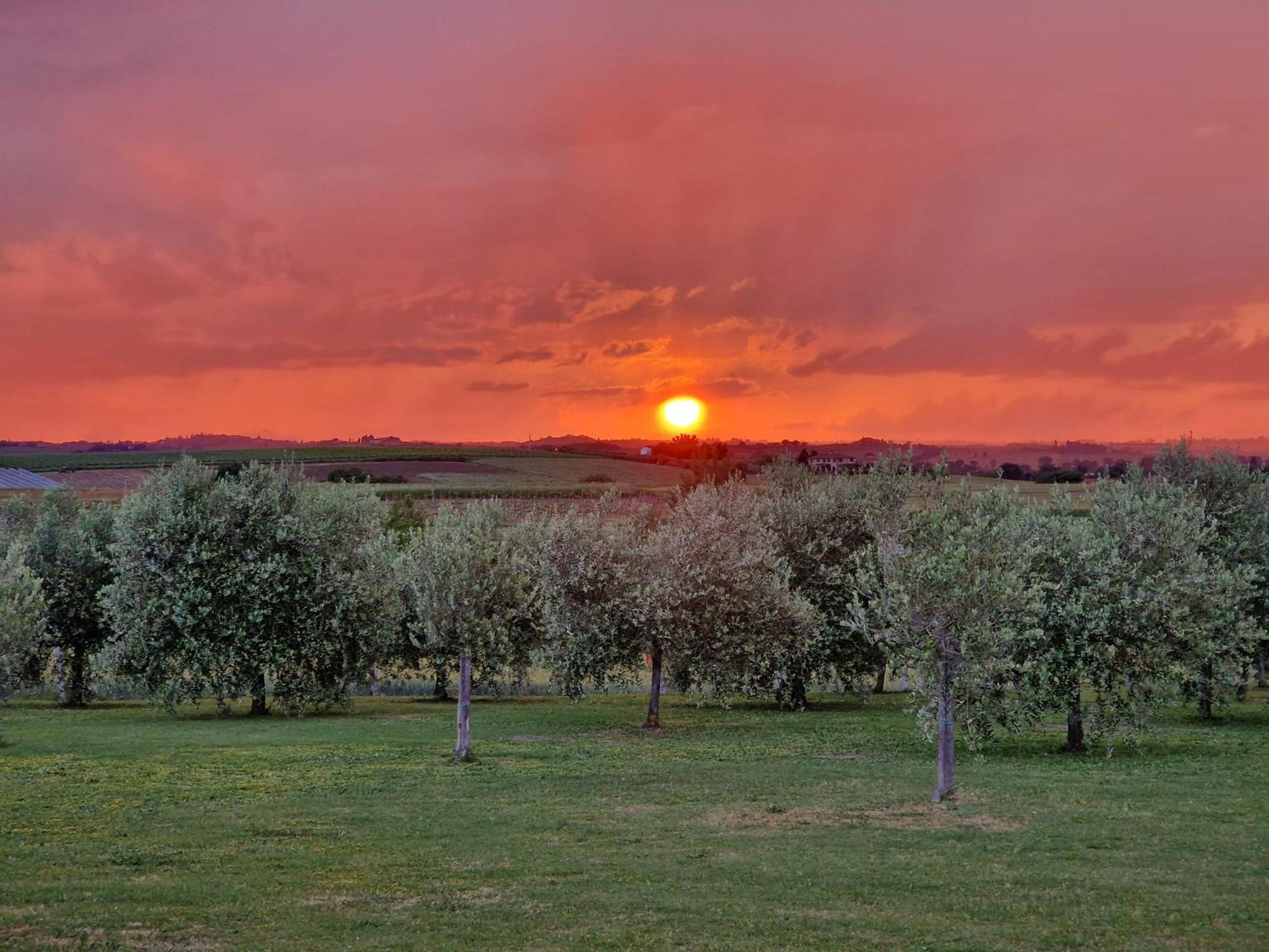 Podere Molinaccio Panicale Zewnętrze zdjęcie