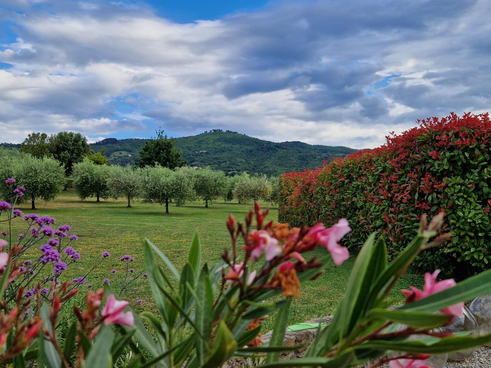 Podere Molinaccio Panicale Zewnętrze zdjęcie