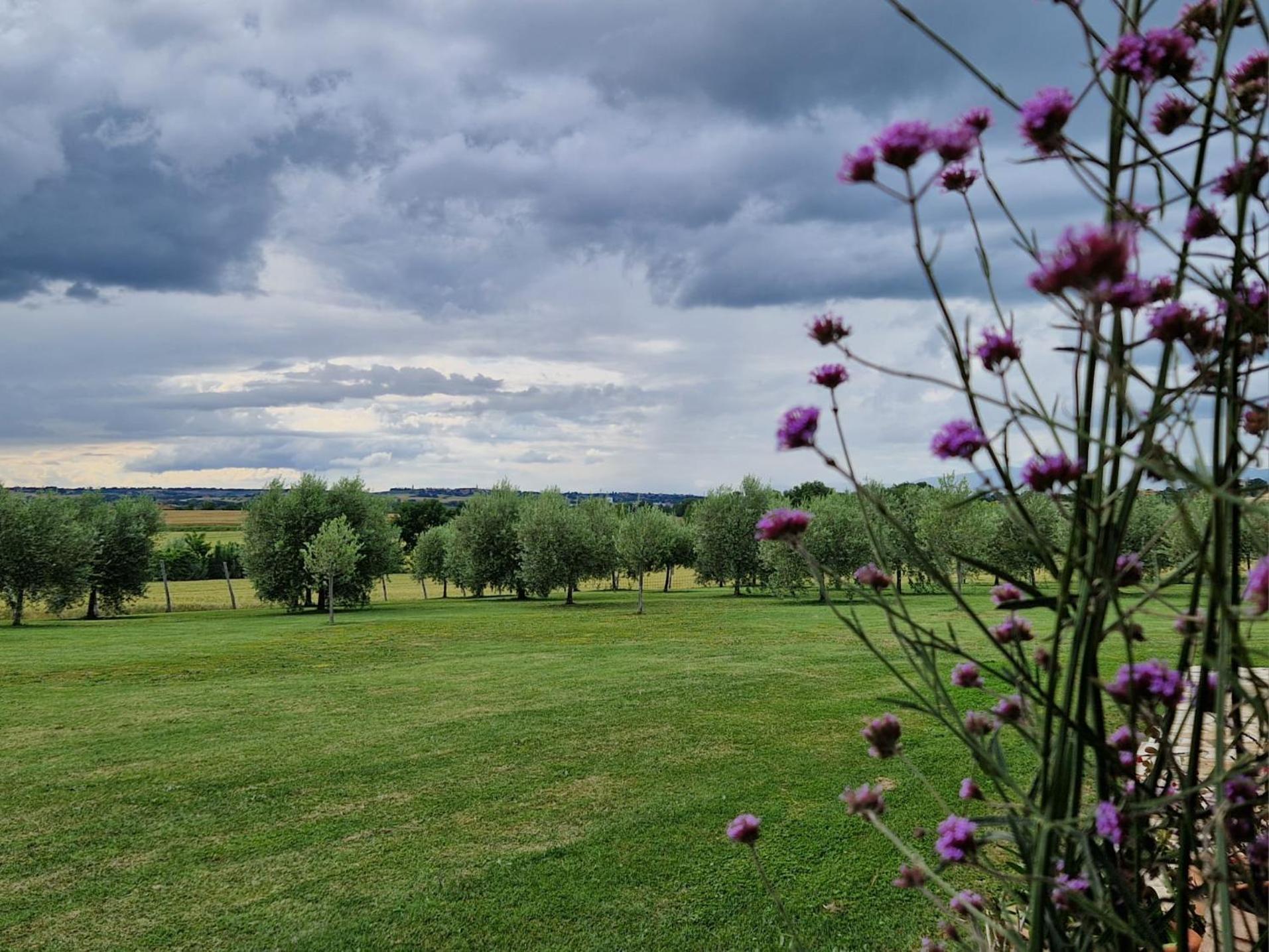 Podere Molinaccio Panicale Zewnętrze zdjęcie
