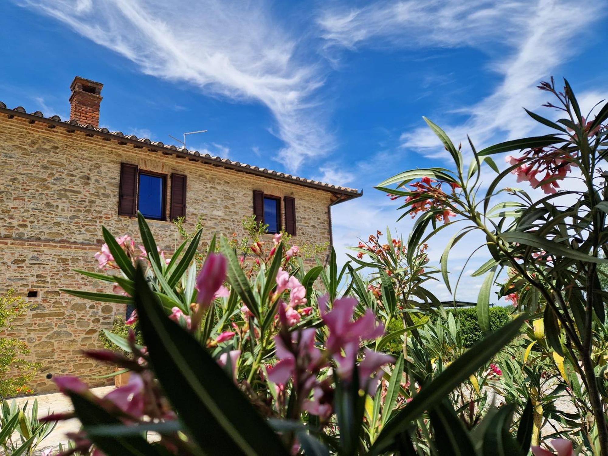 Podere Molinaccio Panicale Zewnętrze zdjęcie